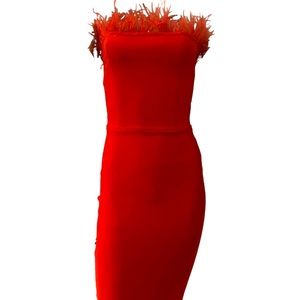 Red feather dress